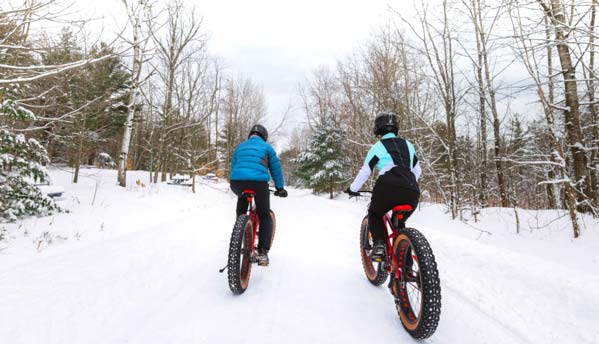Cyclistes sur le réseau cyclable de l'Estriade